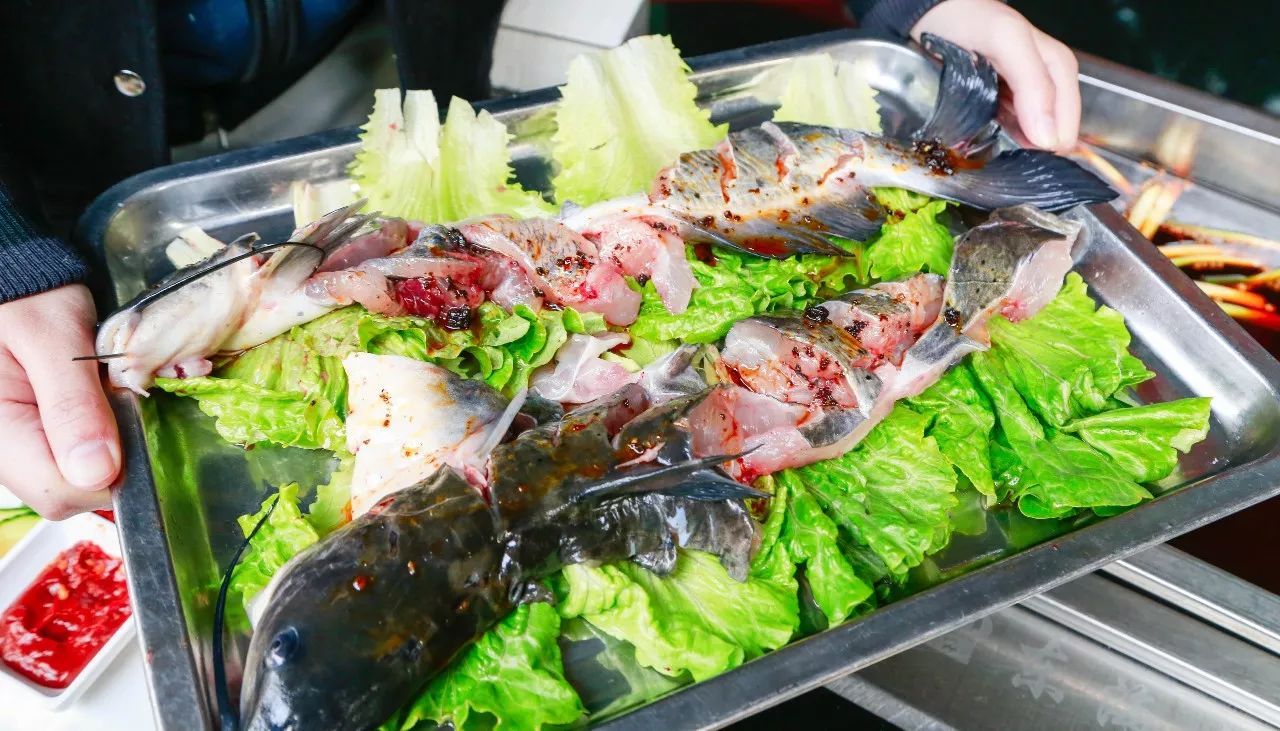 钳鱼图片(鮰鱼是鲶鱼的一种吗)