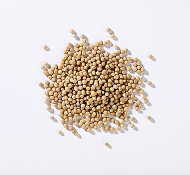 芥末籽(芥末籽图片)