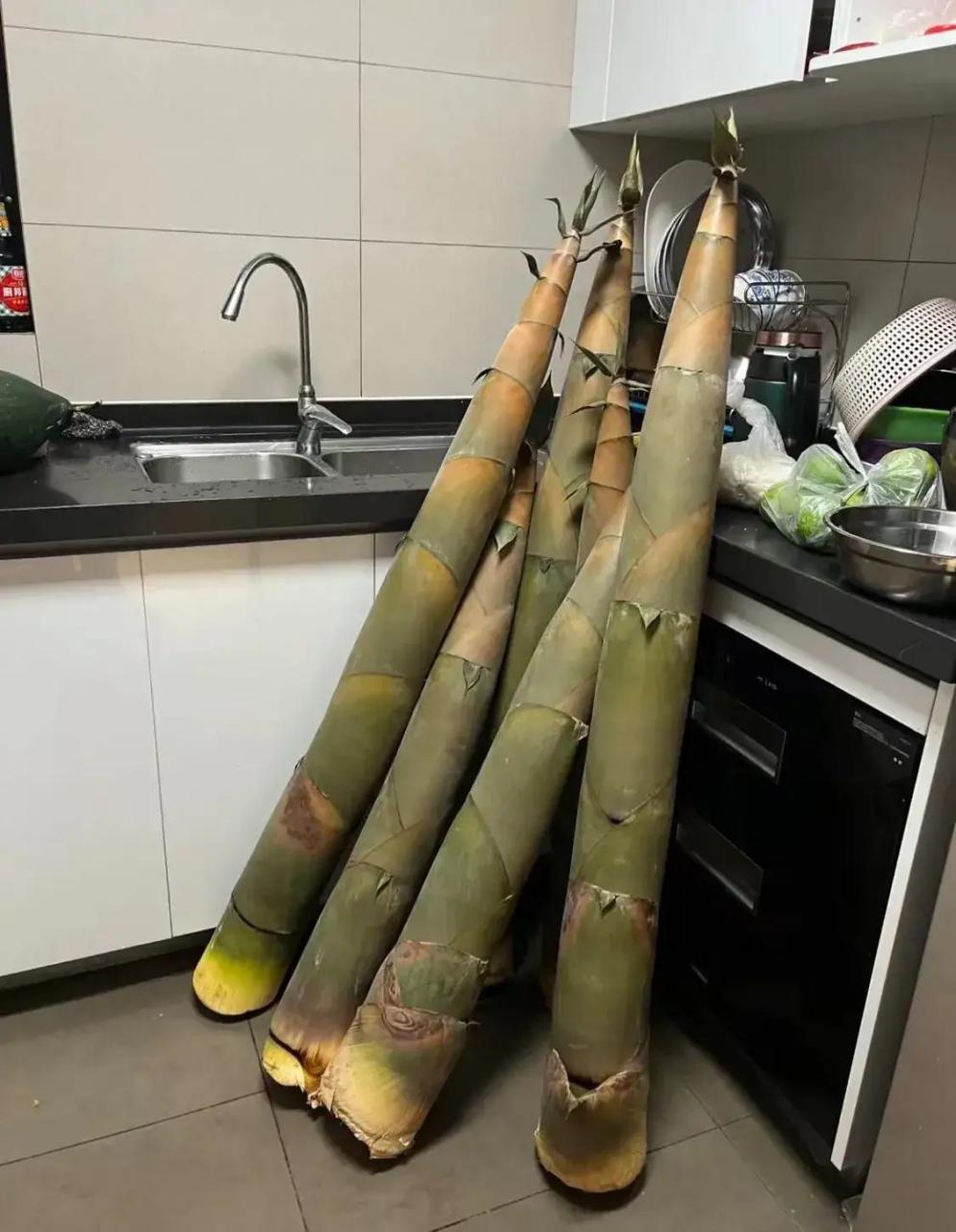 绿笋(芦笋的功效与副作用)