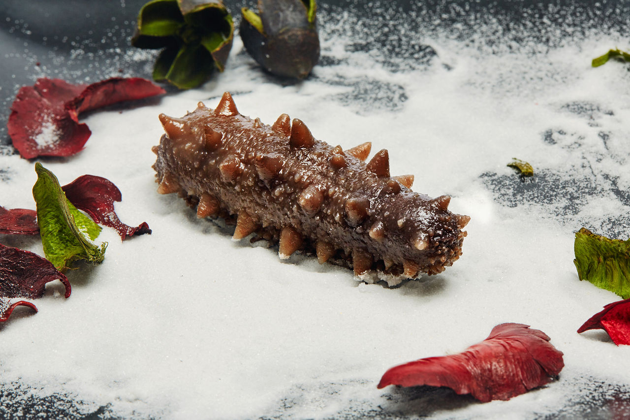 水发海参(水发海参的过程及注意事项)