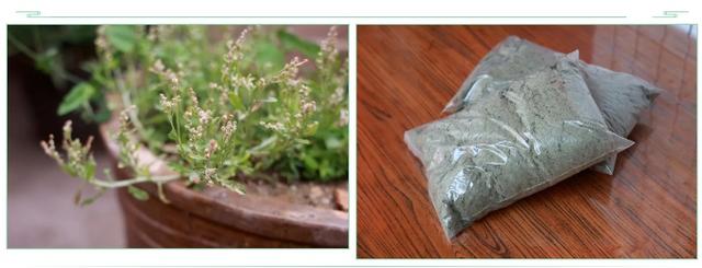 艾角(艾角的做法)