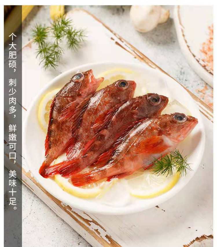 石九公(石九公鱼多少钱一斤)