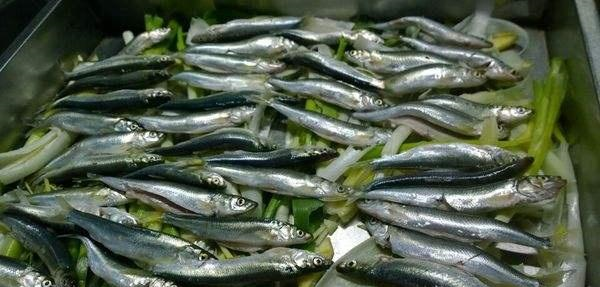 第鱼(第鱼怎么做才好吃)